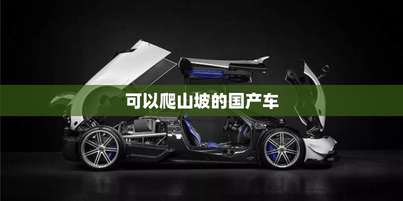 我家母狗十年
