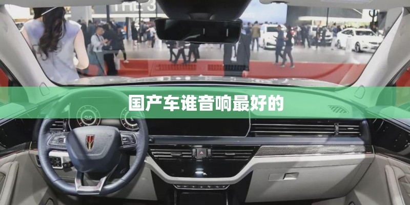 国产车谁音响最好的