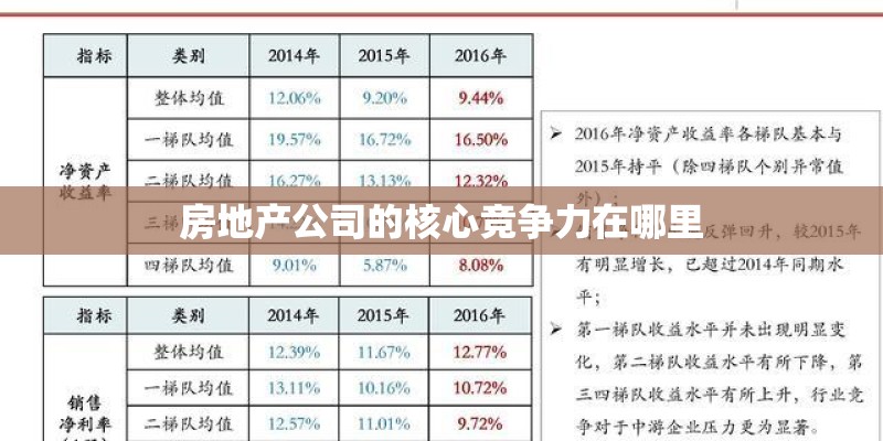 房地产公司的核心竞争力在哪里