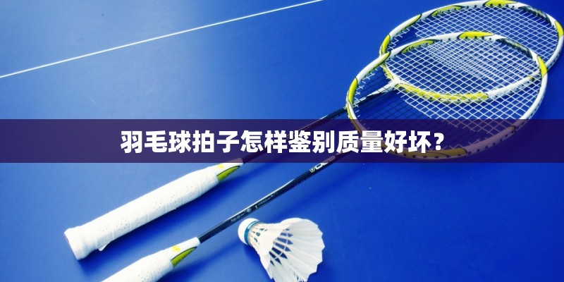 羽毛球拍子怎样鉴别质量好坏？