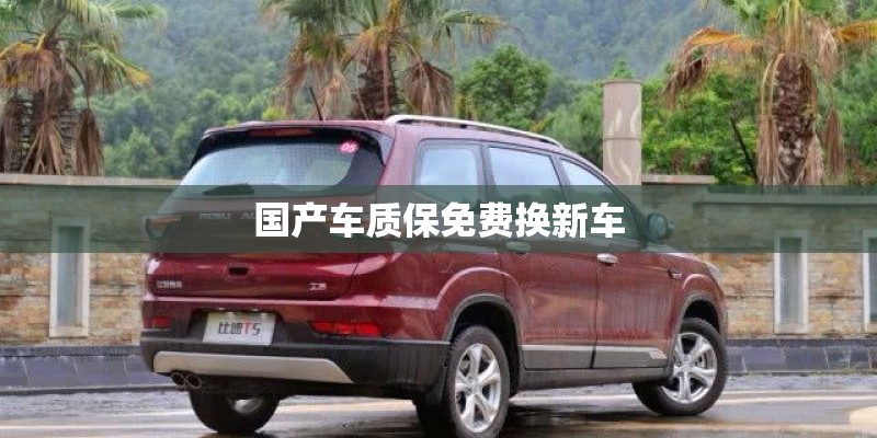 国产车质保免费换新车
