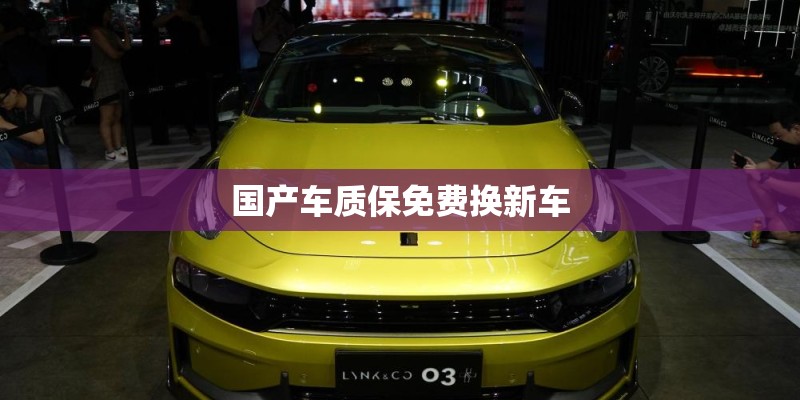 国产车质保免费换新车