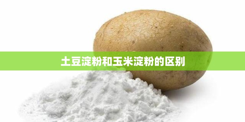 土豆淀粉和玉米淀粉的区别