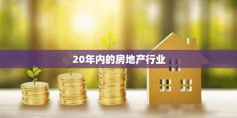 20年内的房地产行业