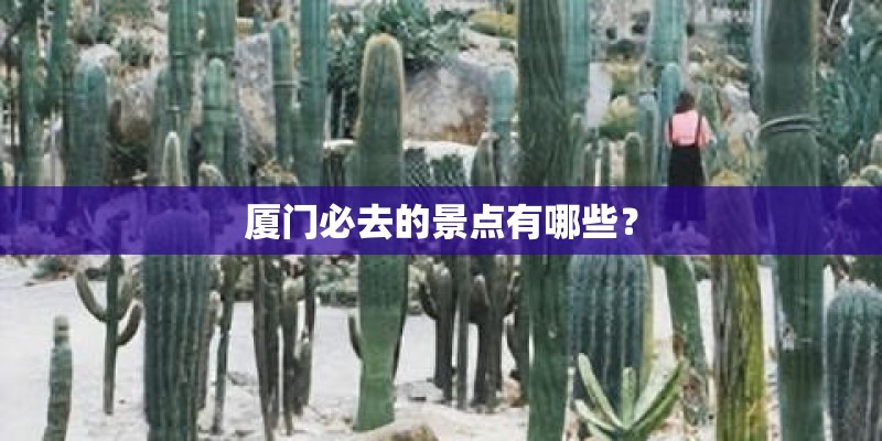 厦门必去的景点有哪些？