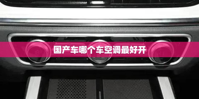 国产车哪个车空调最好开