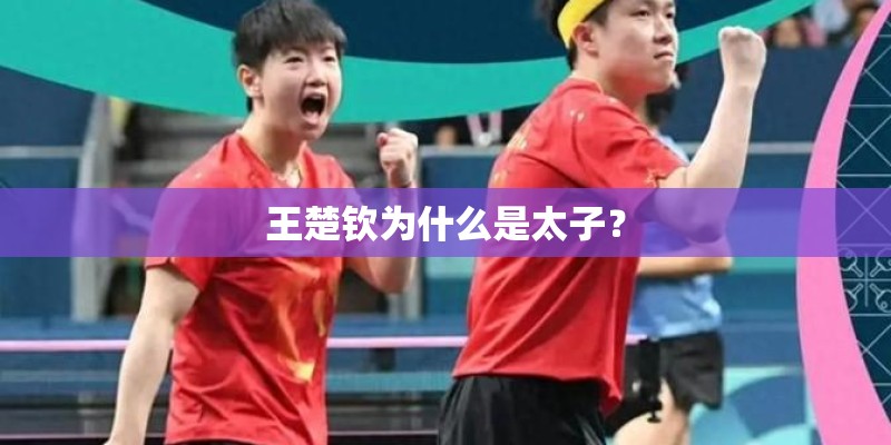 王楚钦为什么是太子？