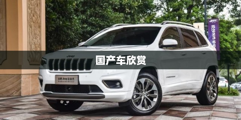 国产车欣赏