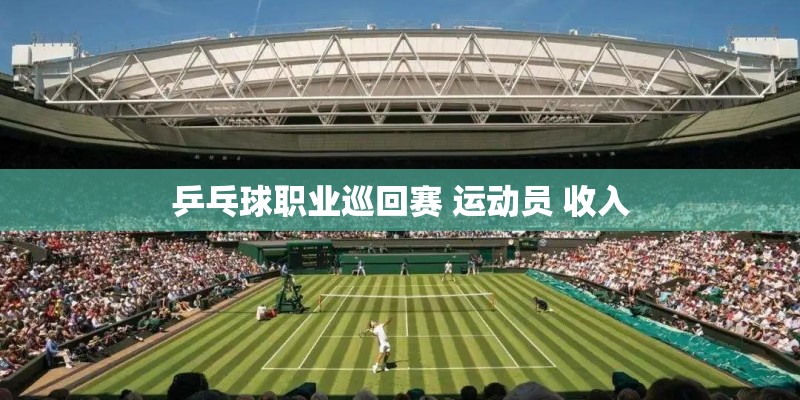乒乓球职业巡回赛 运动员 收入