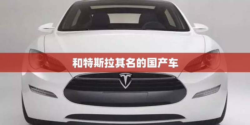 和特斯拉其名的国产车