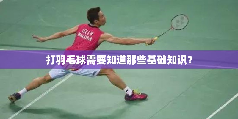 打羽毛球需要知道那些基础知识？