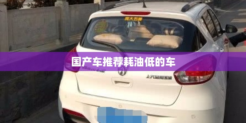 国产车推荐耗油低的车