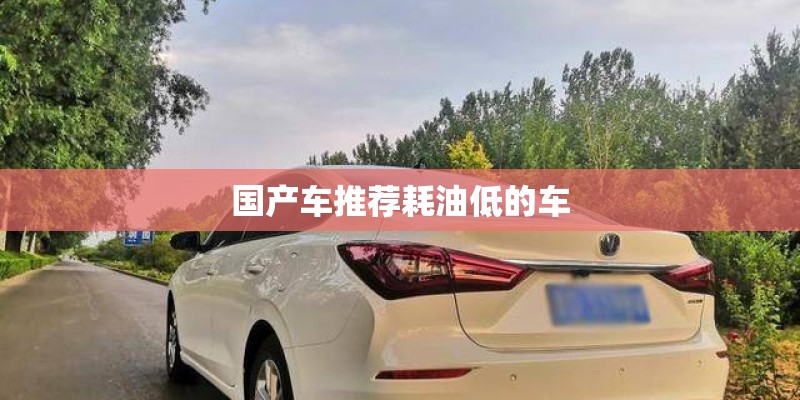 国产车推荐耗油低的车