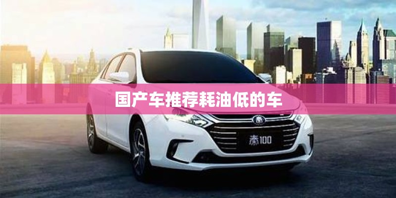 国产车推荐耗油低的车