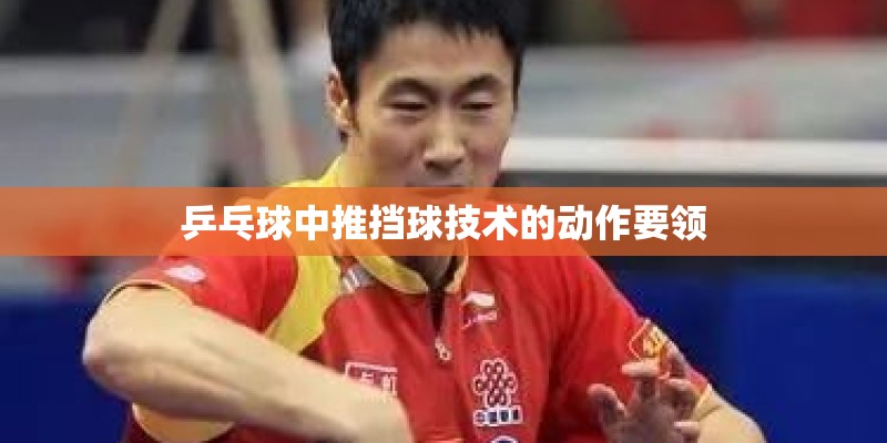 乒乓球中推挡球技术的动作要领