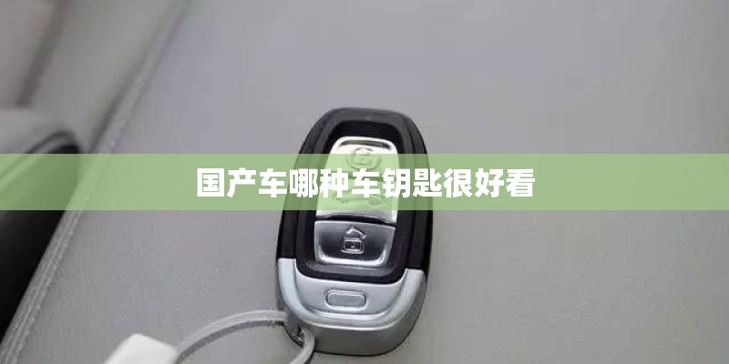 国产车哪种车钥匙很好看