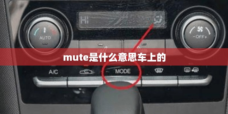 mute是什么意思车上的