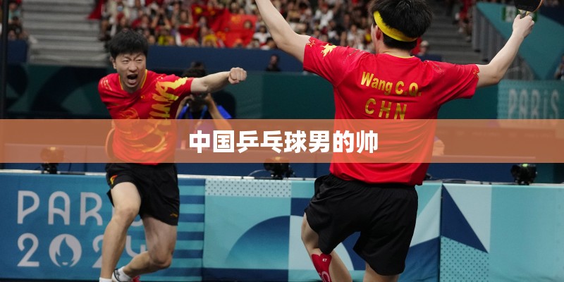 中国乒乓球男的帅