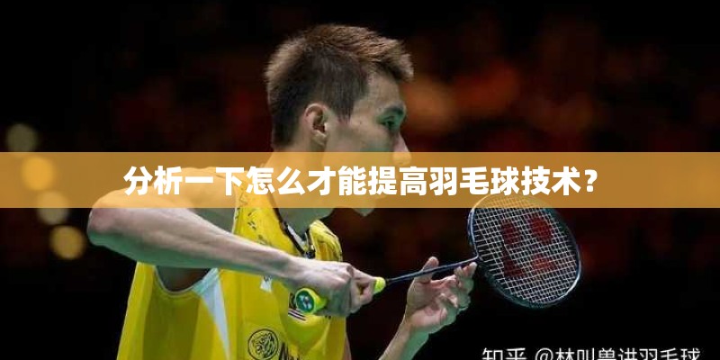 分析一下怎么才能提高羽毛球技术？