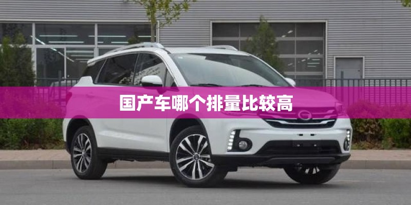 国产车哪个排量比较高