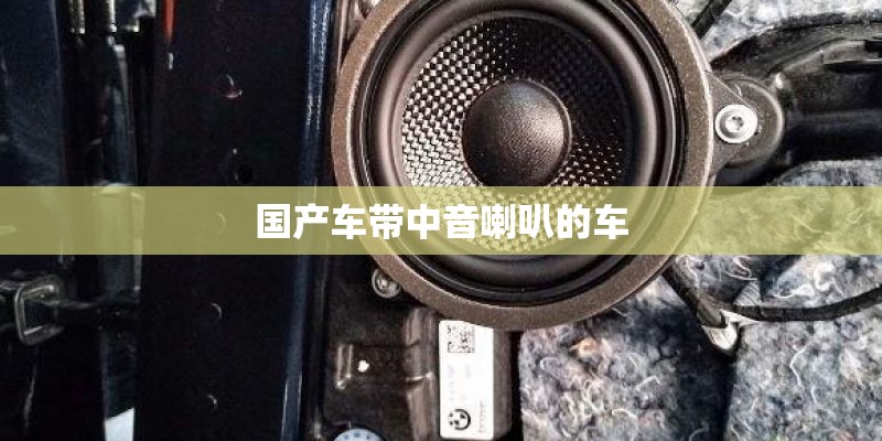 国产车带中音喇叭的车