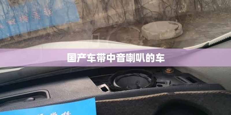国产车带中音喇叭的车