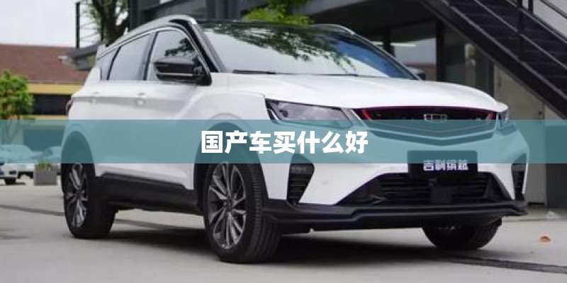 国产车买什么好
