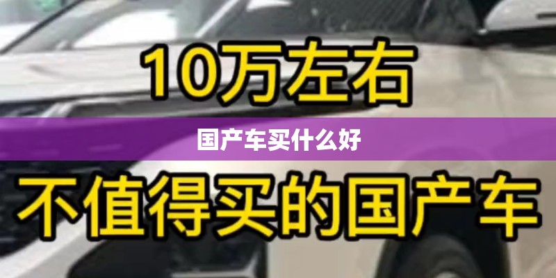 国产车买什么好