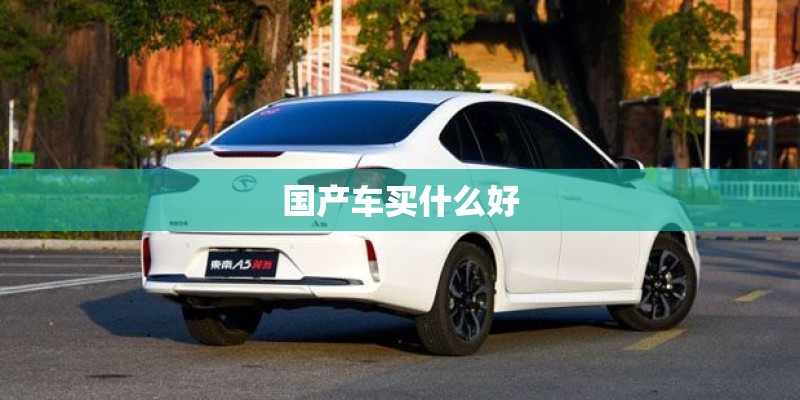 国产车买什么好