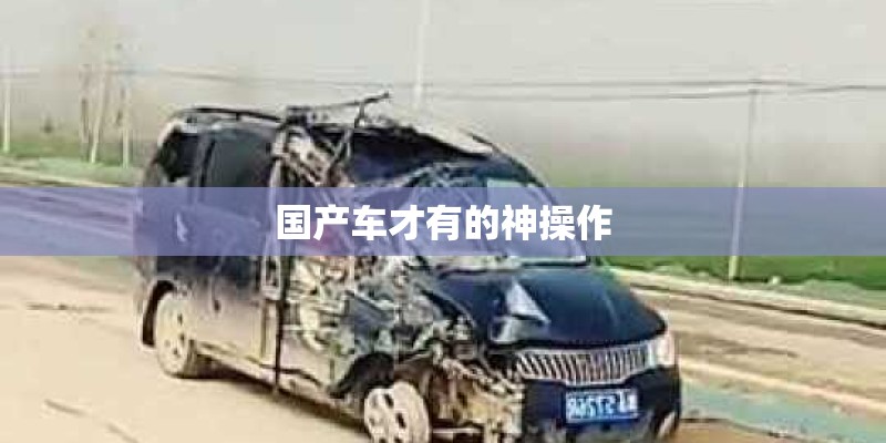 国产车才有的神操作