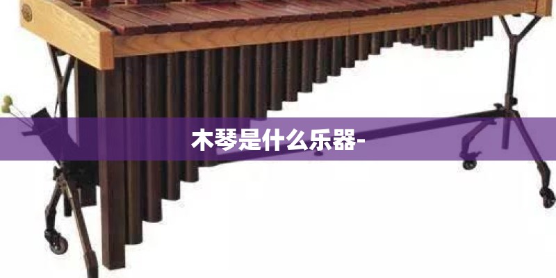 木琴是什么乐器-