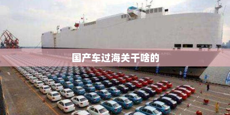 国产车过海关干啥的