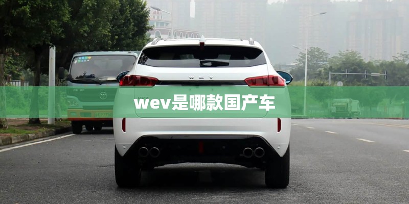 wev是哪款国产车