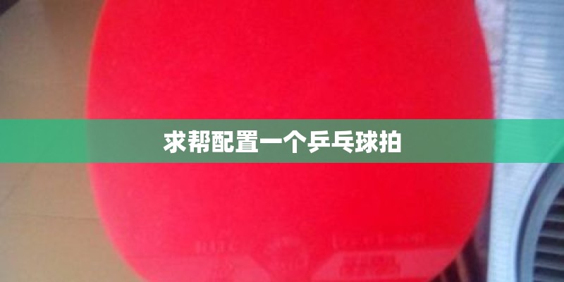 求帮配置一个乒乓球拍