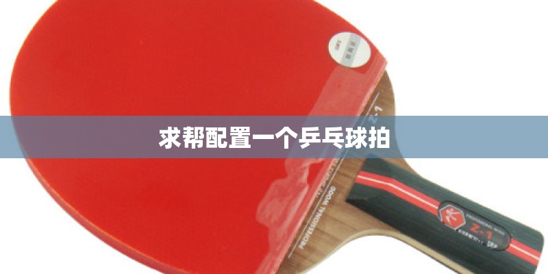 求帮配置一个乒乓球拍
