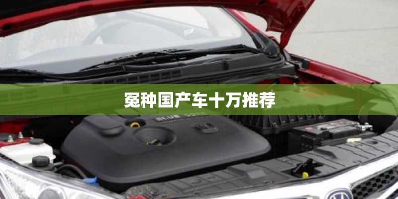 冤种国产车十万推荐