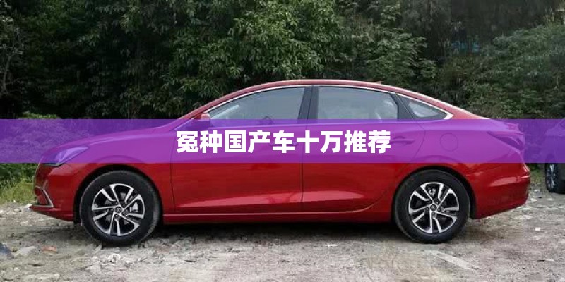 冤种国产车十万推荐