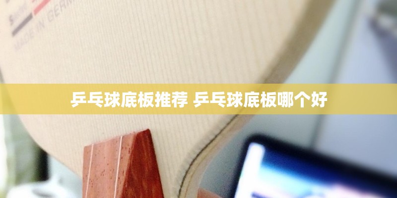 乒乓球底板推荐 乒乓球底板哪个好