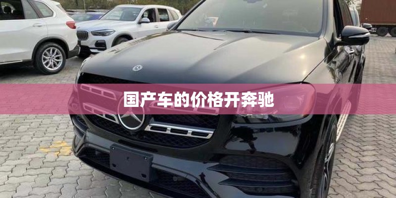 国产车的价格开奔驰