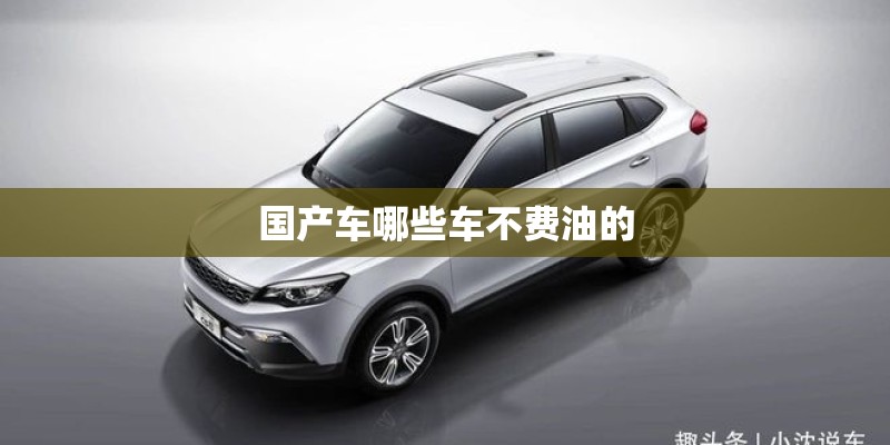 国产车哪些车不费油的