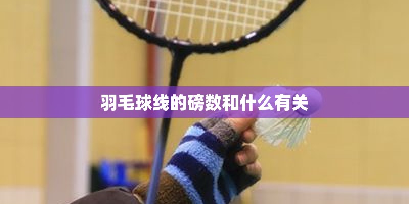羽毛球线的磅数和什么有关
