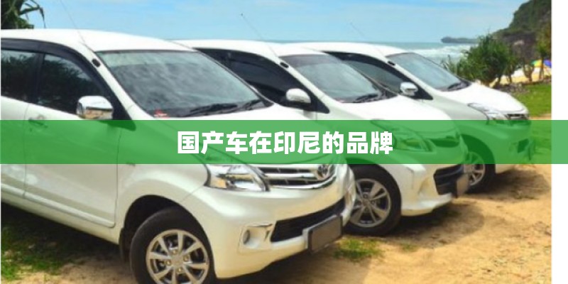 国产车在印尼的品牌