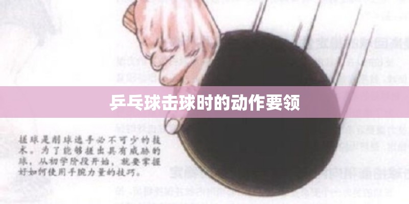 乒乓球击球时的动作要领