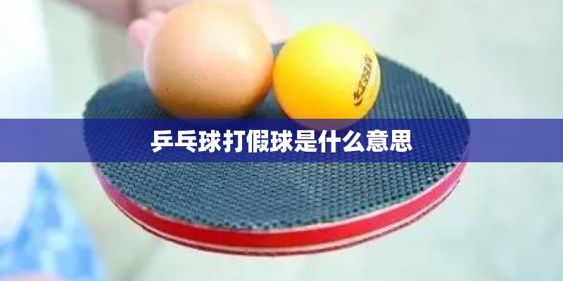 乒乓球打假球是什么意思