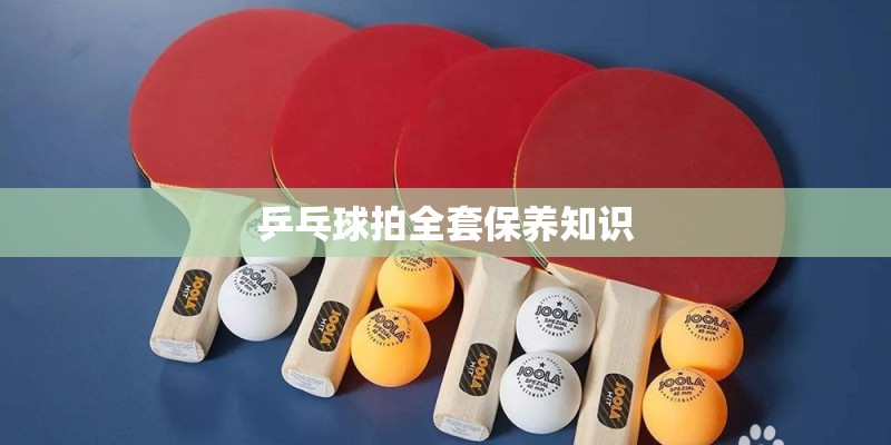 乒乓球拍全套保养知识