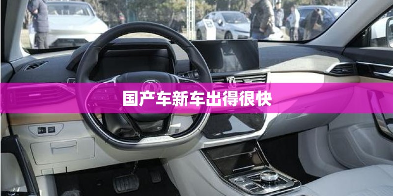 国产车新车出得很快