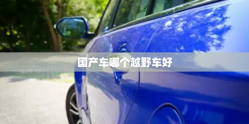 国产车哪个越野车好