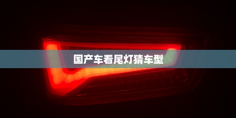 国产车看尾灯猜车型