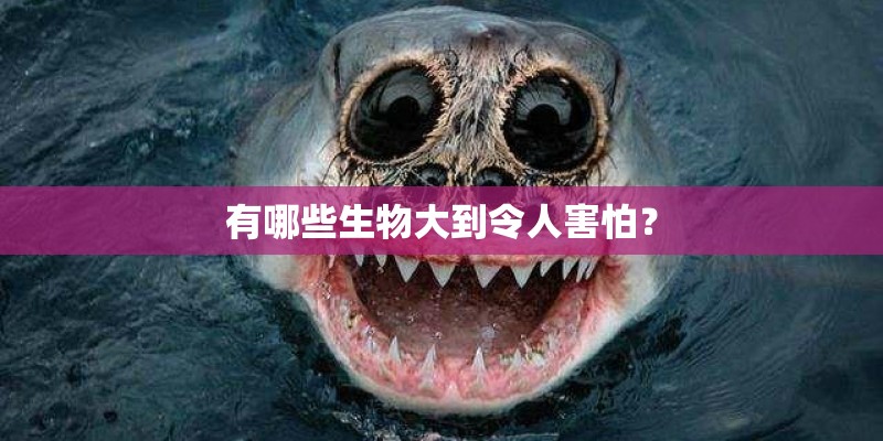 有哪些生物大到令人害怕？