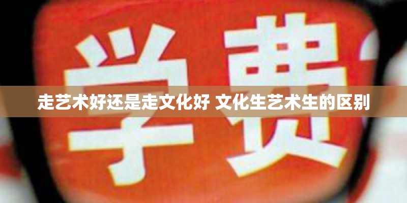 走艺术好还是走文化好 文化生艺术生的区别
